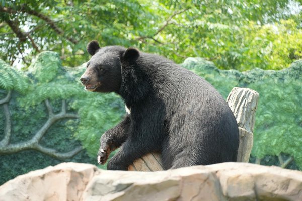 Cuisine Bien-être : Recettes et Ingrédients Santé pour Améliorer Votre Vitalité