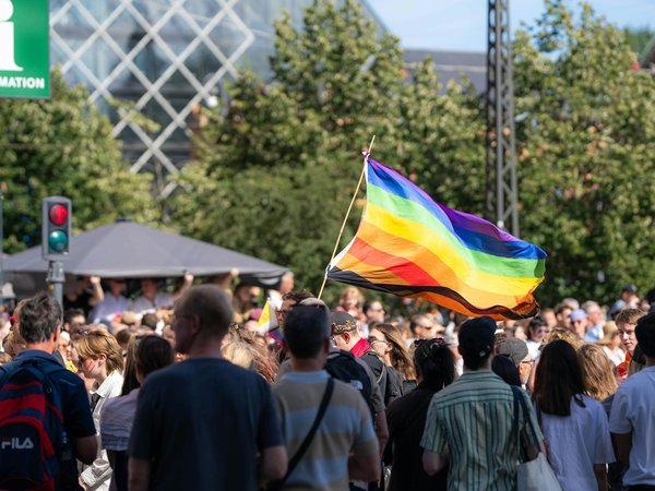 Vin de bourgogne : un panorama des nectars à explorer